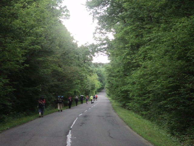 2014-zarandoklat-p-111