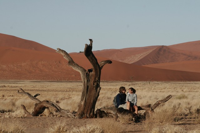 Namibia 2013 safari (113)