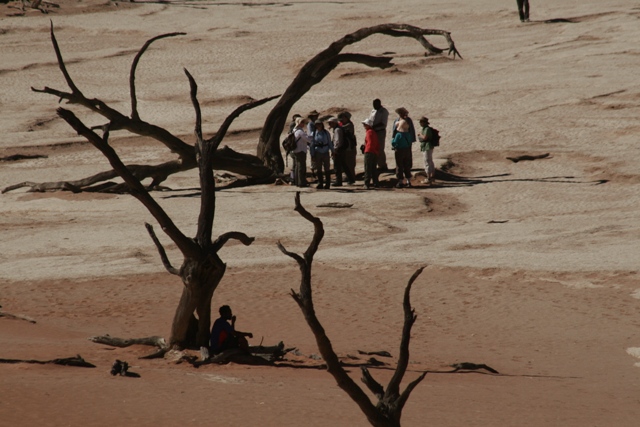 Namibia 2013 safari (192)