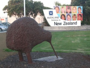 Kiwi madár az ország szimbóluma