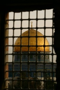 Jerusalem (478)