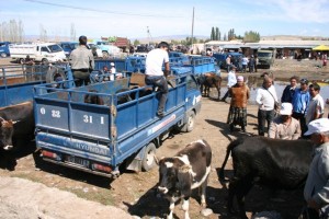 Állatvásár útközben Állatvásár útközben