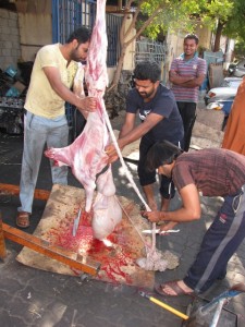 Oman, goat cutting ceremony