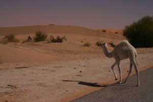 Mauritania desert Mauritania desert