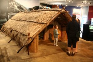 Wellington muzeum