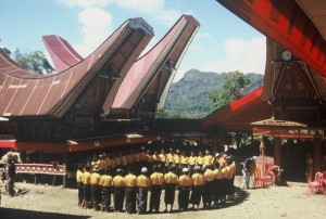 indonézia, Sulawesi, Tana Toraja szertartás