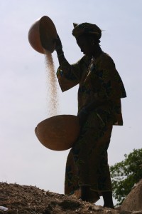 Mali, Djenne, buza szeleltetése
