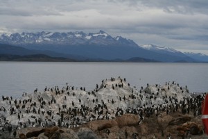 Antarktisz - Ushuaia - Enyedi Kata