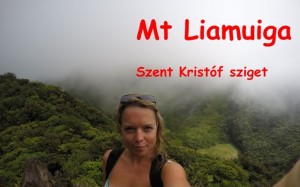 Mt-Liamuiga - hitchhikingthe7seas. W..H. Veronika