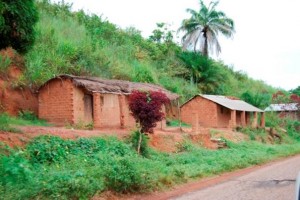 Kongó - szinkronban A Természettel