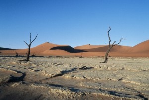 Dead Vlei