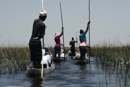 Okavango delta, Mokoro safari