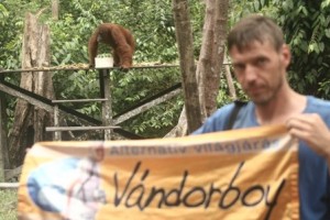 Indonézia, Borneo, oráng utánok között