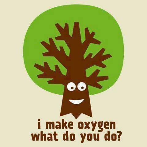 Én oxigént termelek.. s te mit csinálsz?