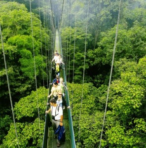 Costa Rica, Lomb séta - Monteverde park