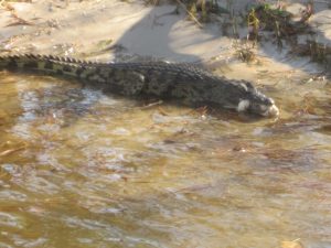 Okavango, Botswana