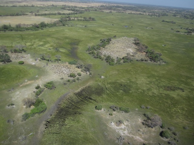 Okavango delta, Botswana