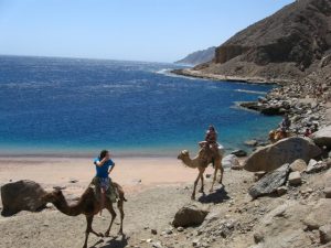 Ras Abu Gallum, Egyiptom