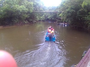 Mulu NP, Borneo