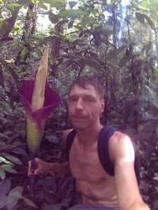 Mulu NP, Borneo