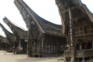 Sulawesi Toraja, hosszú ház