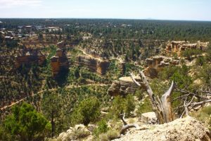 Grand Canyon, USA körutazás