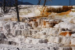 Yellowstone nemzeti park, USA körutazás