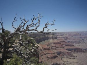 Grand canyon, USA körutazás