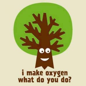 i make oxigen, what do you do