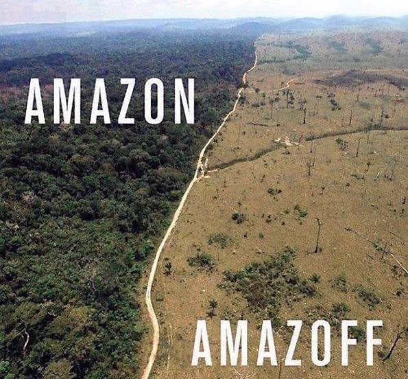 Amazon amazoff, természet