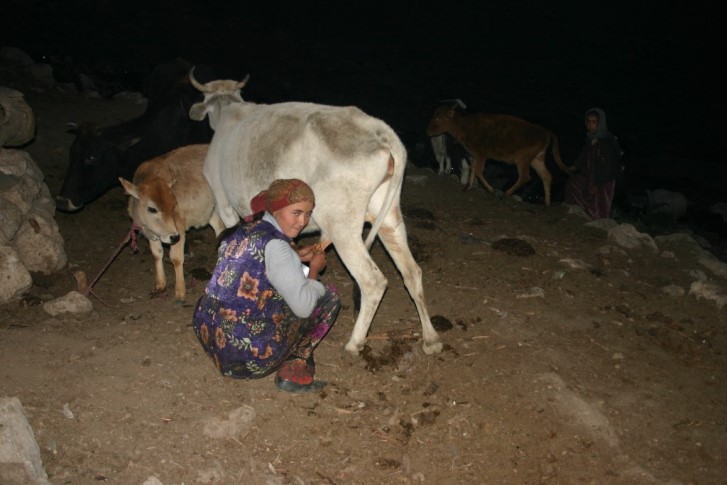 Fejik az állatokat, Tadzsik, Fann hegység