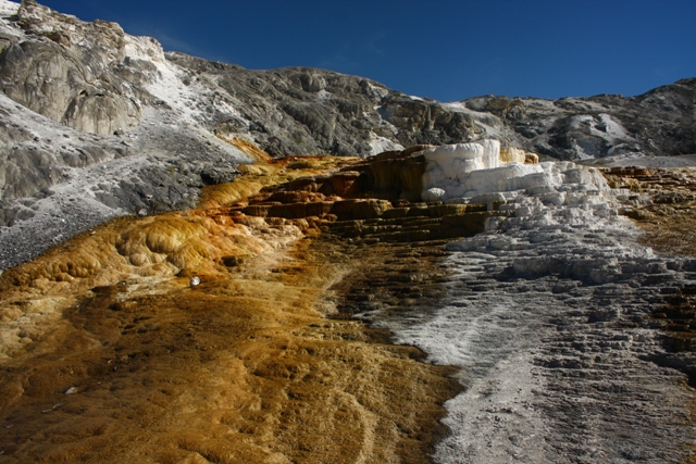 83-yellowstone-mammoth-hot-spring-30