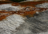 83-yellowstone-mammoth-hot-spring-6