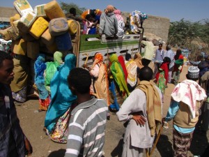 szomáliföld, Hargeisa, teve piac