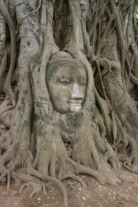 Thaiföld, Ayutthaya, buddha statue