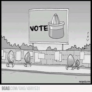 vote . .választás