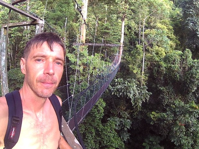 Mulu np. Borneo lombkorona séta