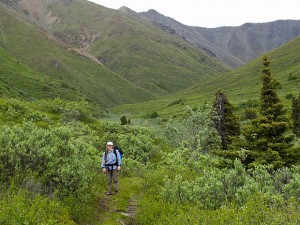 Alaszka, Caribou Creek Trail